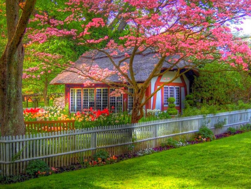 Charming cottage in spring garden