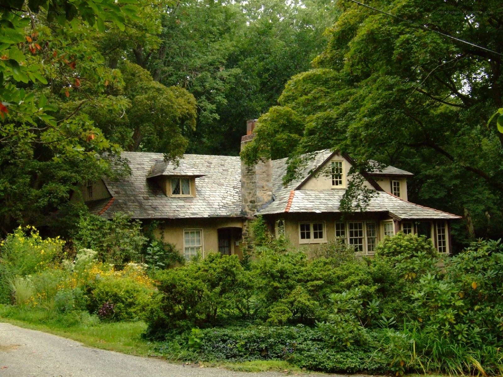 Charming cottage in wooded area