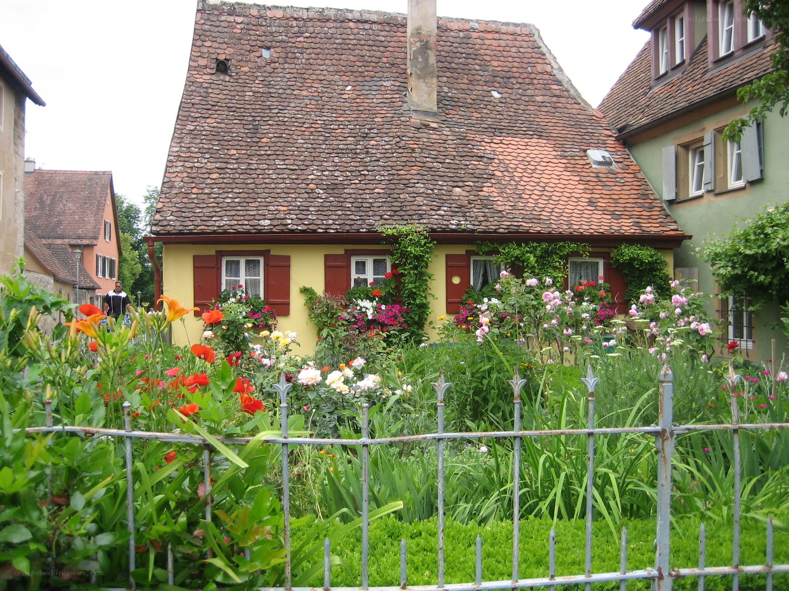 Charming cottage with flower garden
