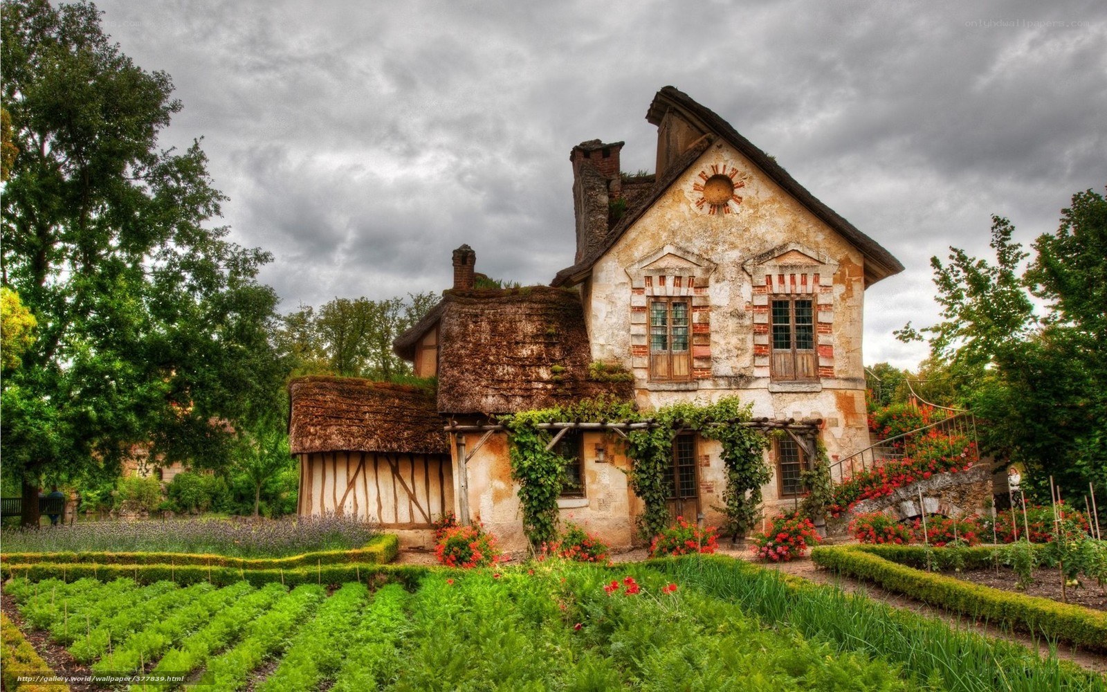 Charming French cottage garden