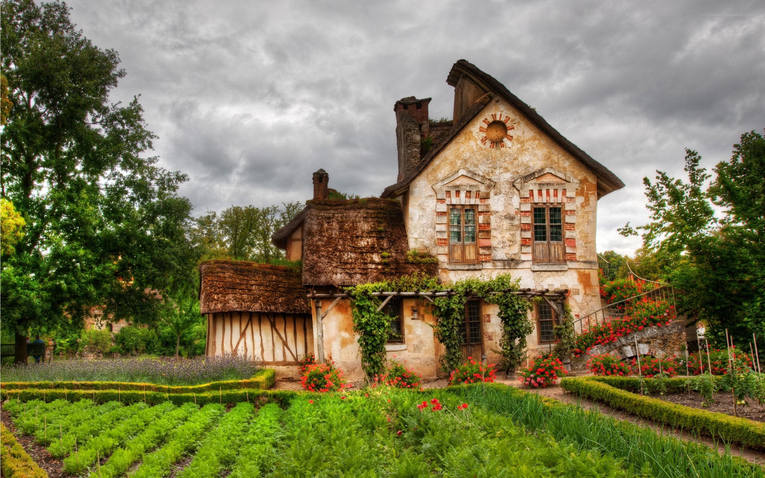 Charming French cottage with garden