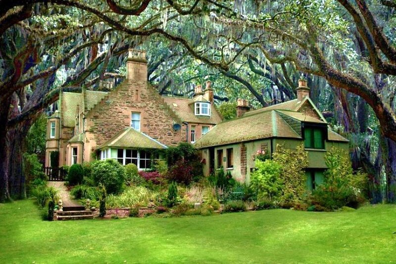 Charming house under oak trees