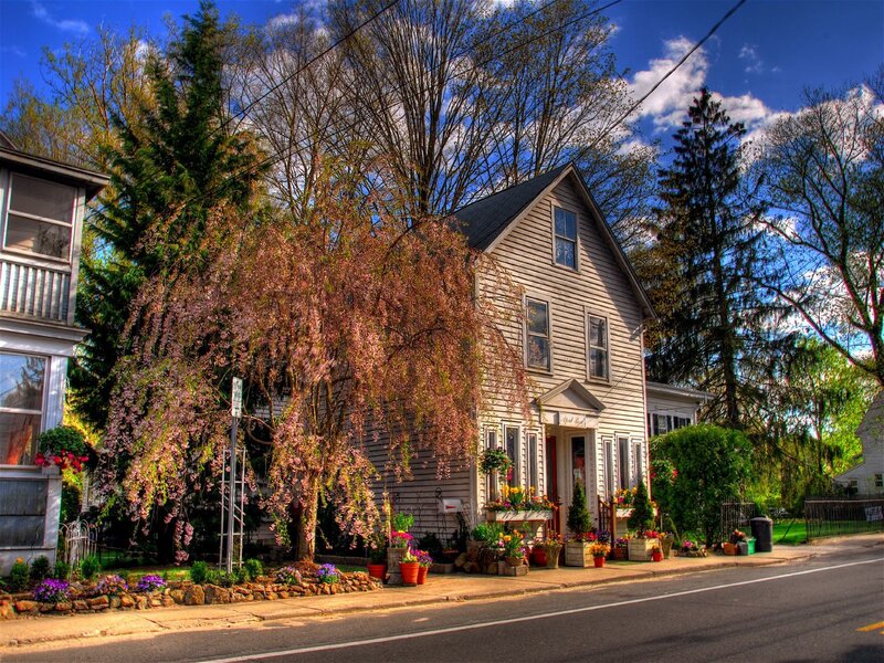 Charming house with blooming tree
