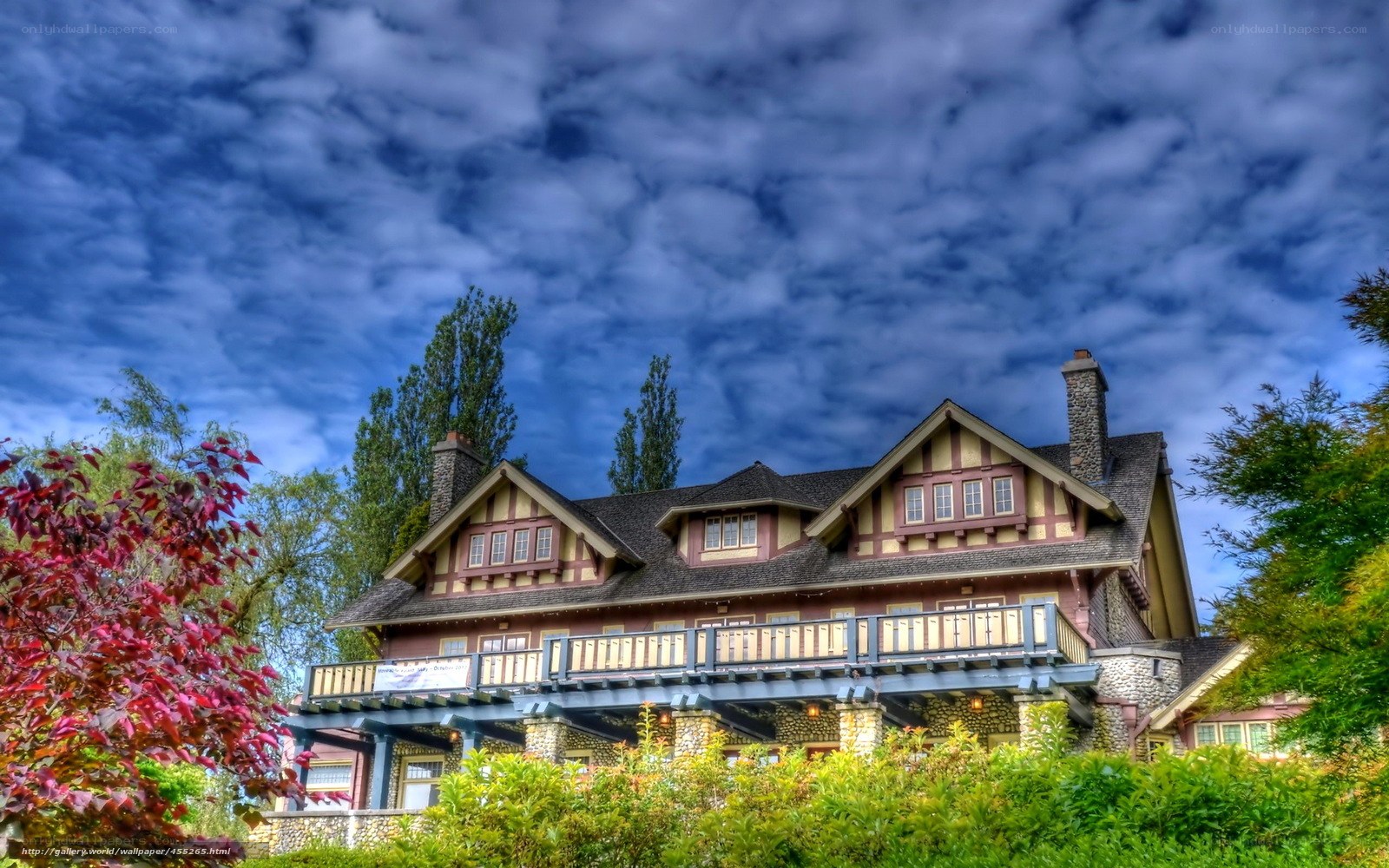 Charming house with red leaves