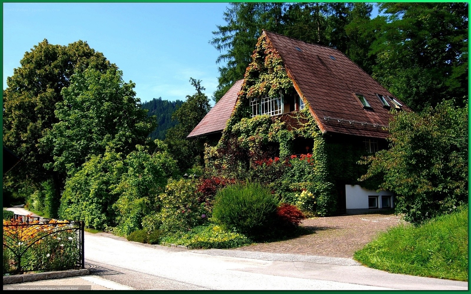 Charming ivy-covered house in the countryside