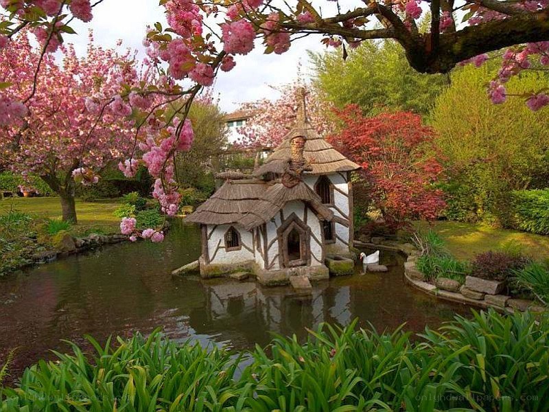 Charming pond house in spring garden