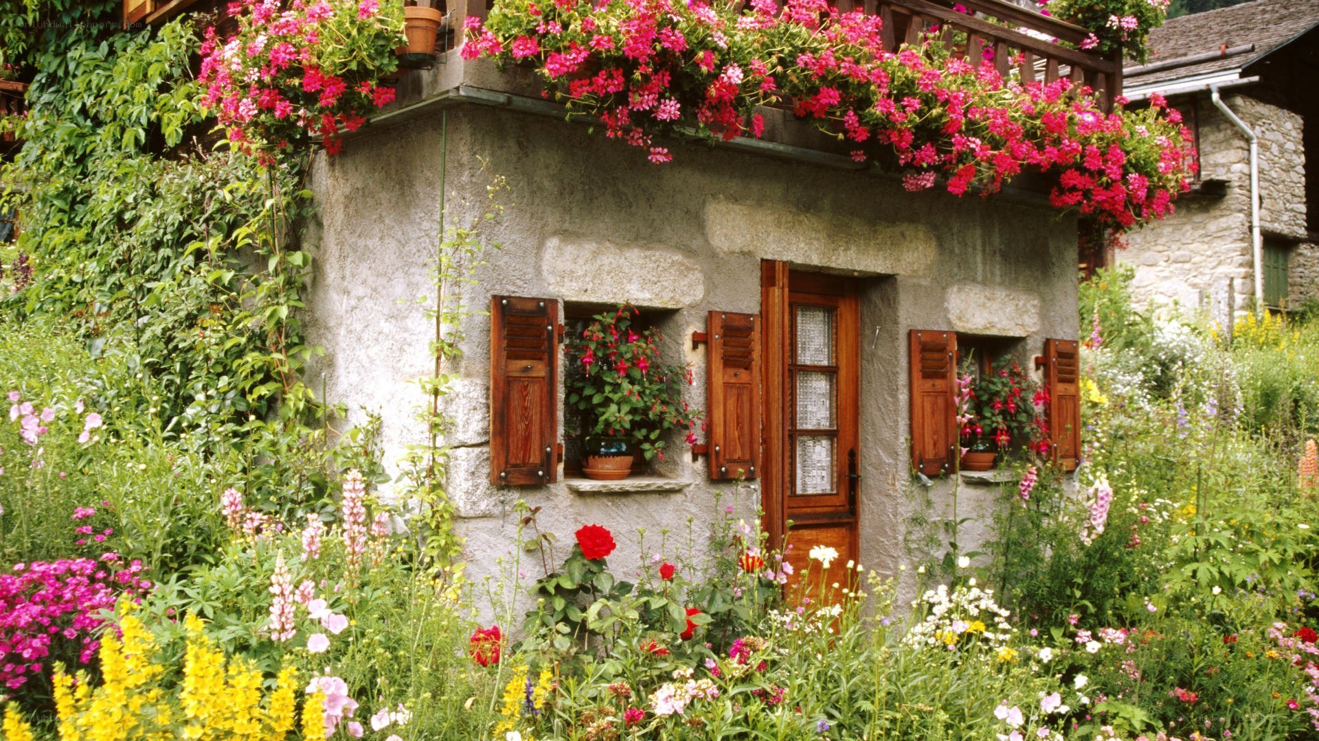 Charming stone cottage with flowers