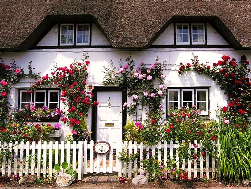 Charming thatched cottage