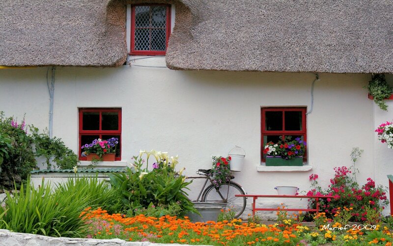 Charming thatched cottage garden