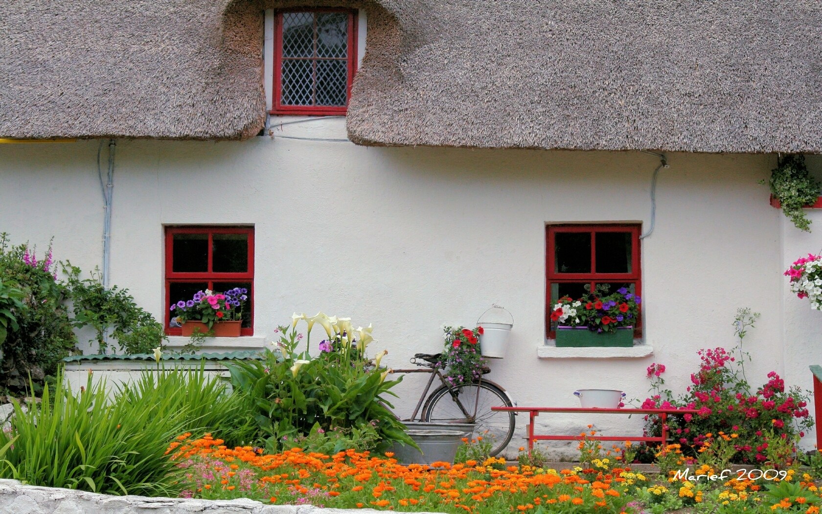 Charming thatched cottage garden