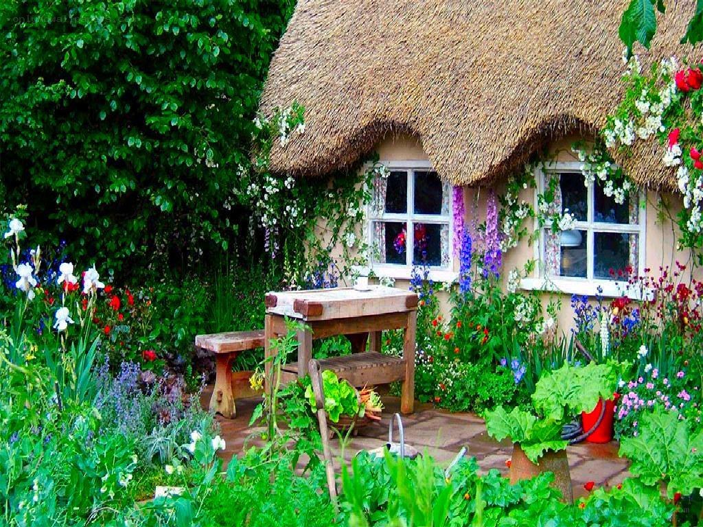 Charming thatched cottage garden