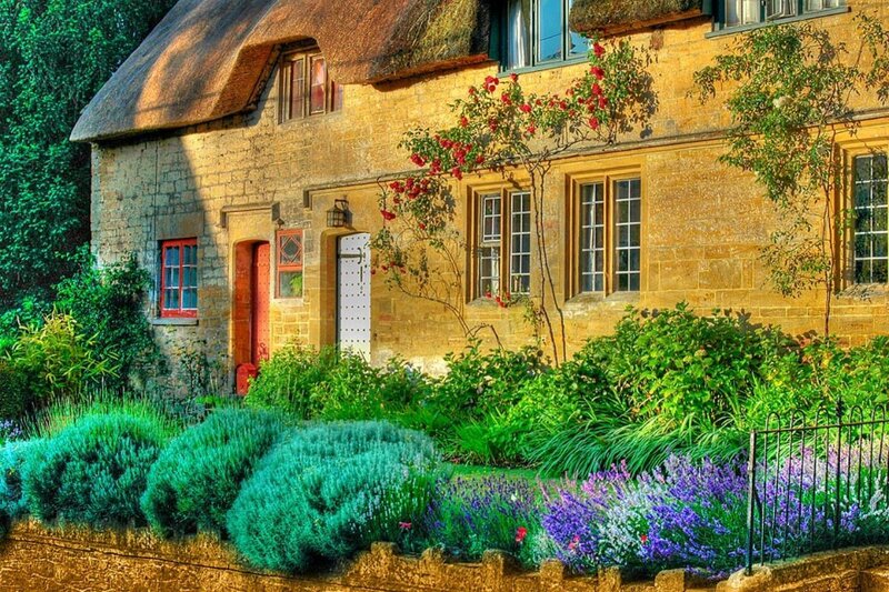 Charming thatched cottage garden