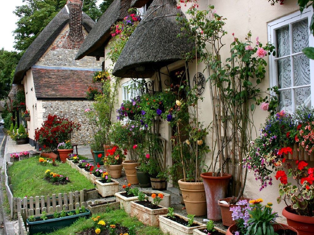 Charming thatched cottage garden