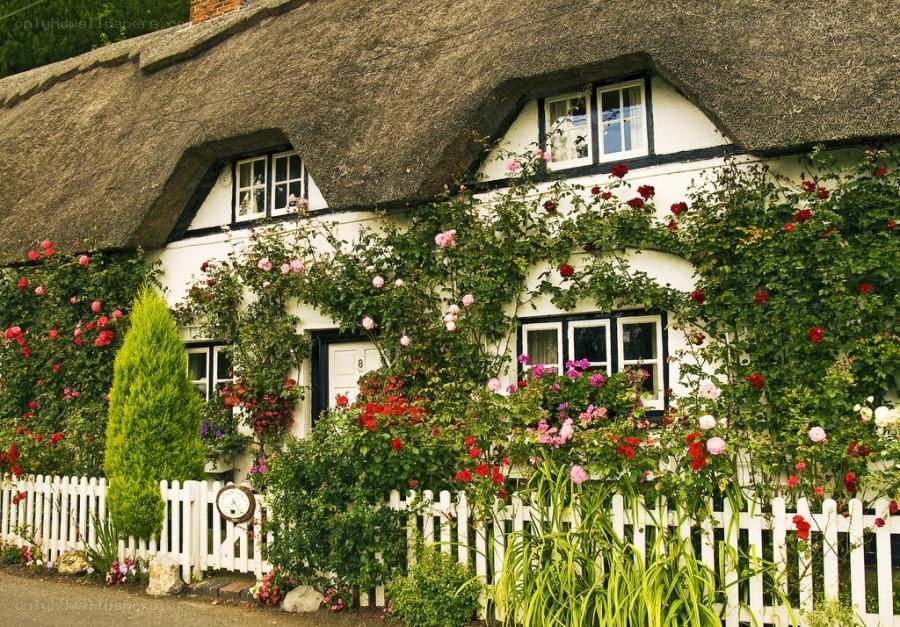 Charming thatched cottage with roses