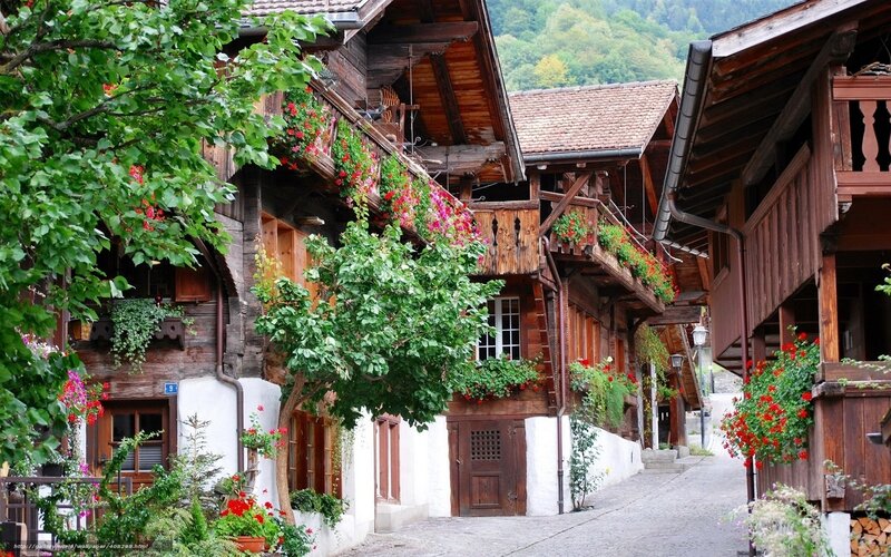 Charming wooden village street