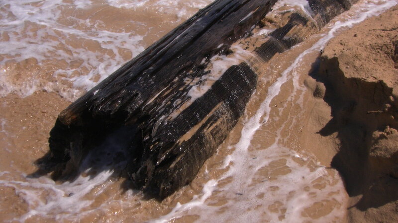 Charred Log on Beach
