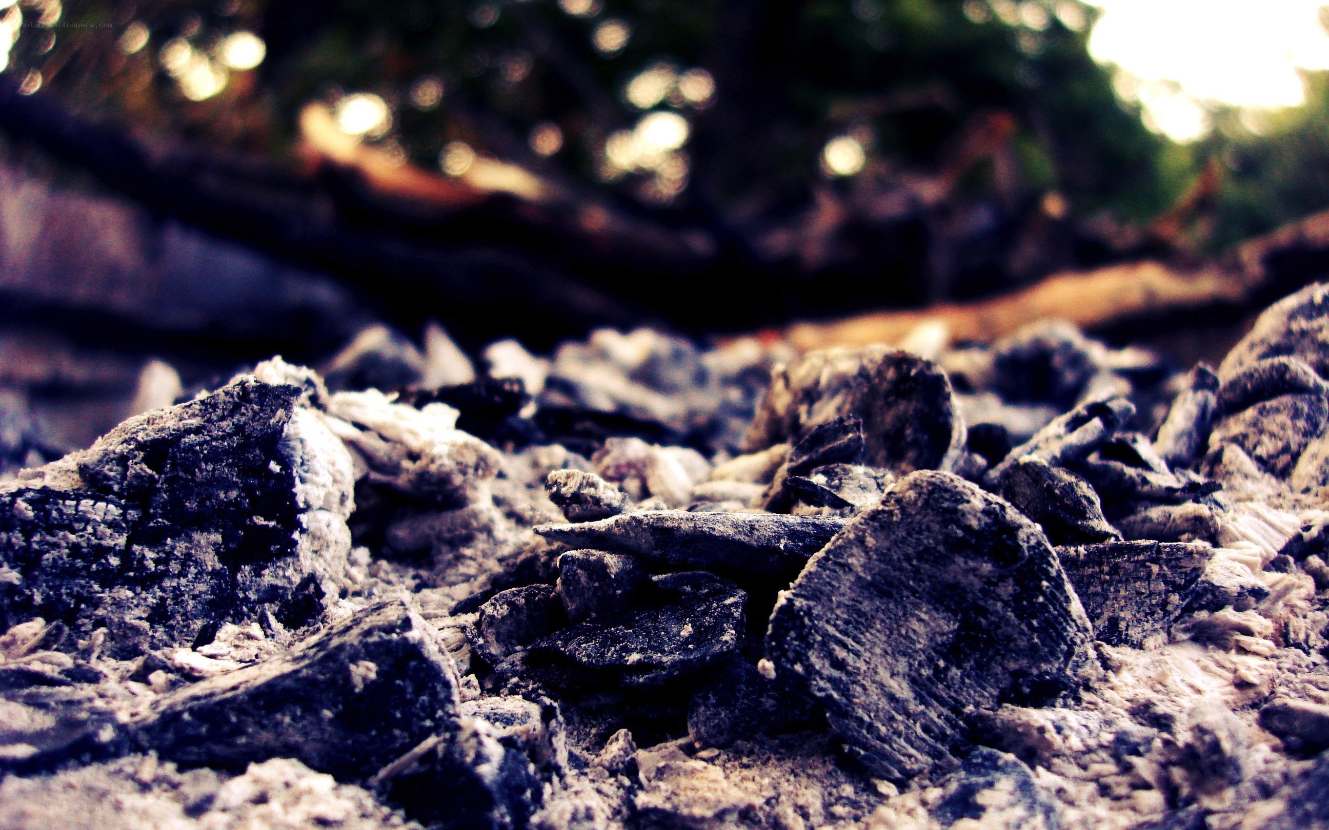 charred wood and ash