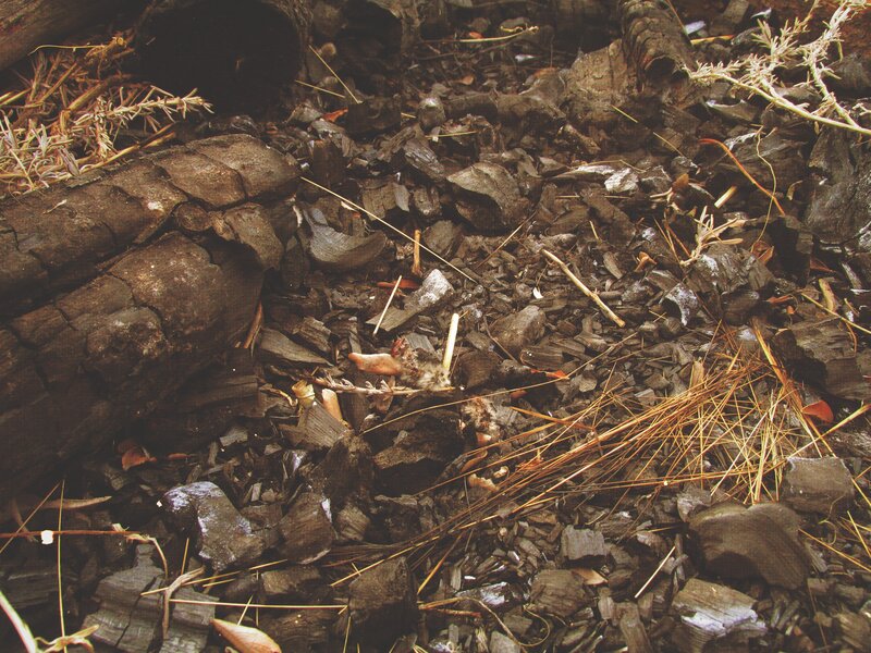 Charred Wood and Debris
