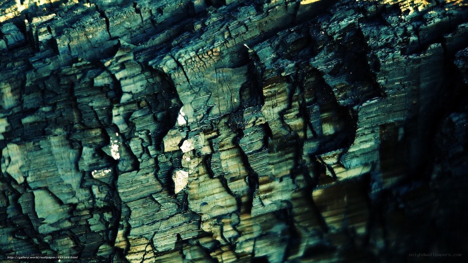 Charred wood texture
