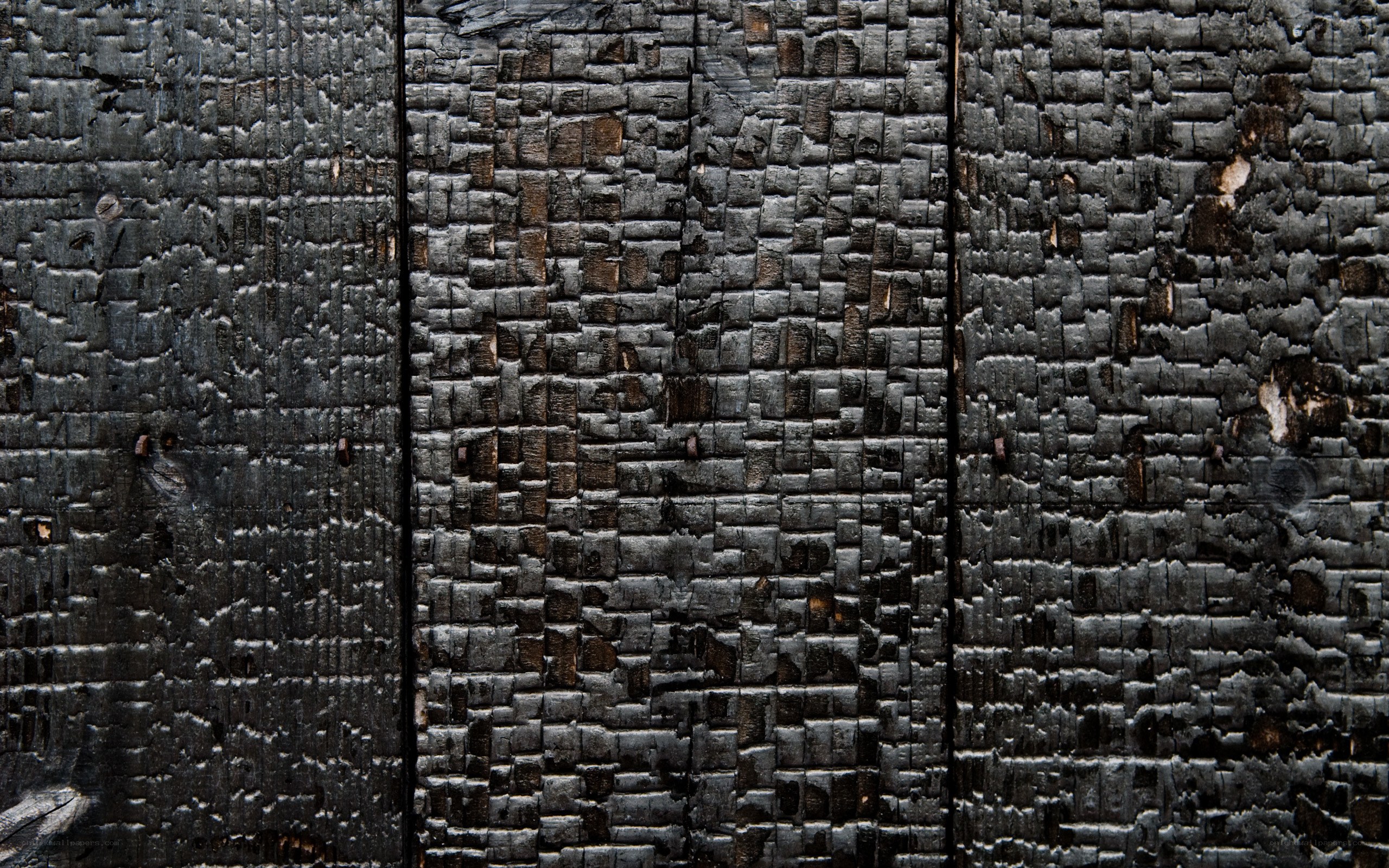 charred wood texture