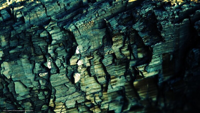 Charred Wood Texture — Black