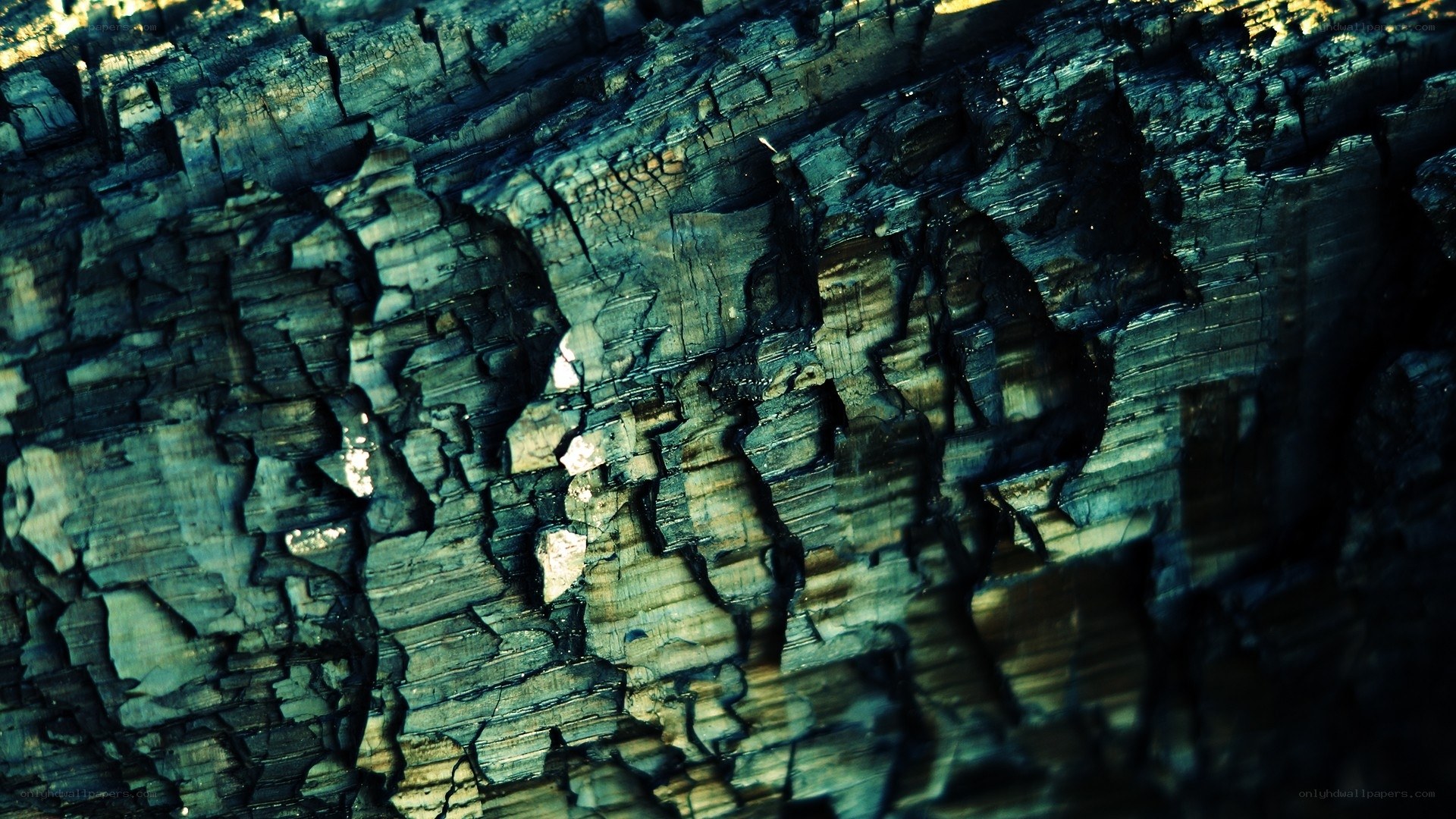 charred wood texture
