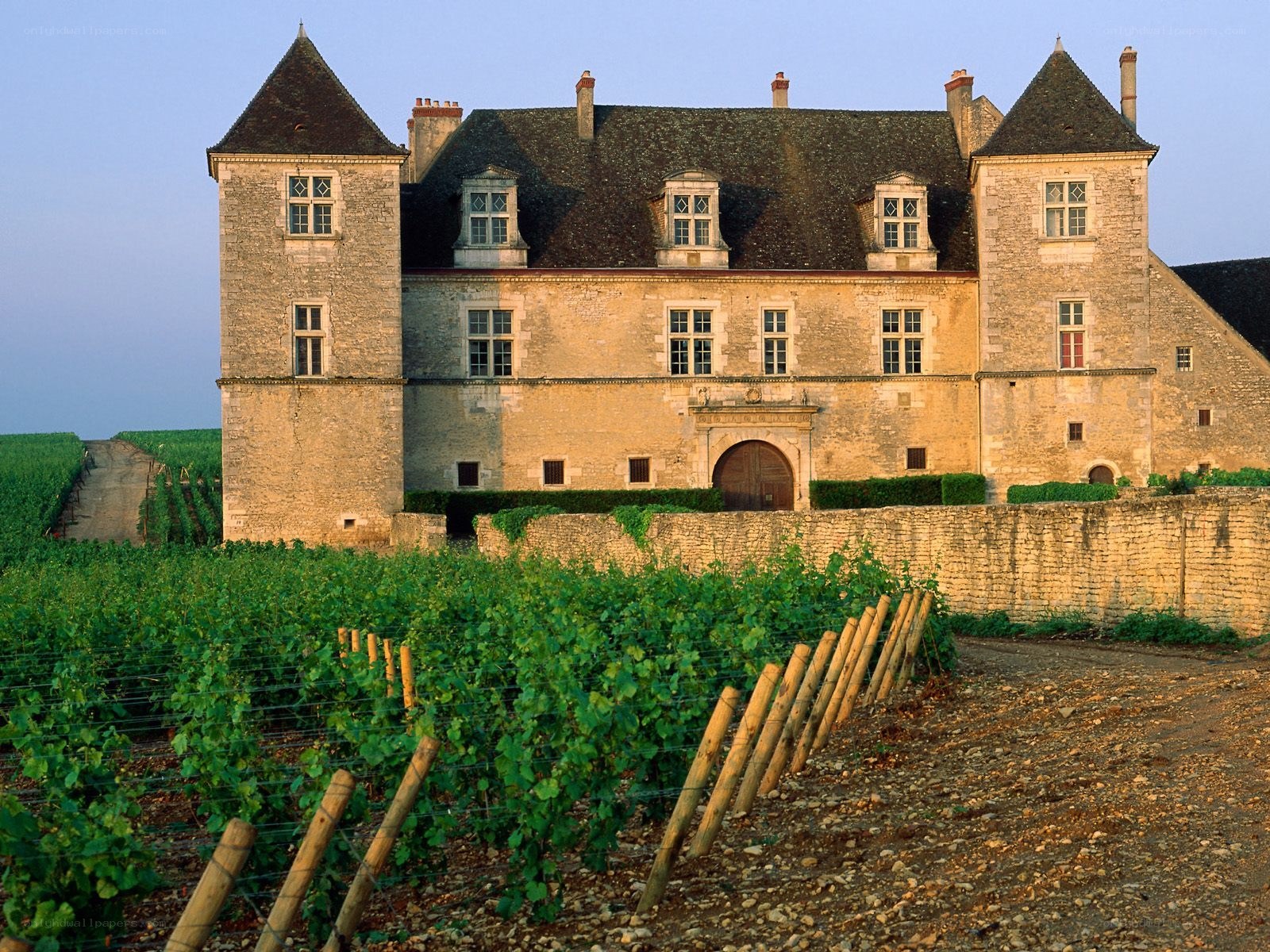 Chateau in a vineyard