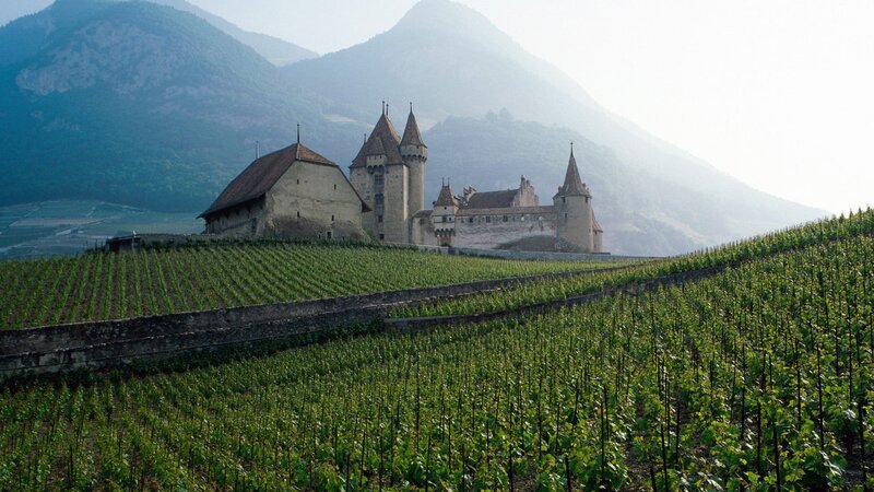 Chateau in Vineyard — Green