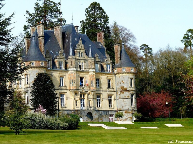 Chateau with Conical Roofs