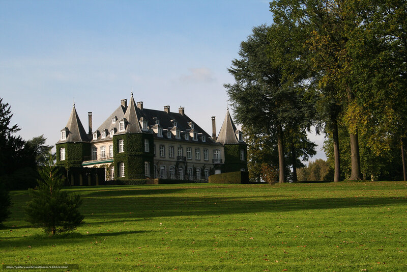 Chateau with ivy-covered walls