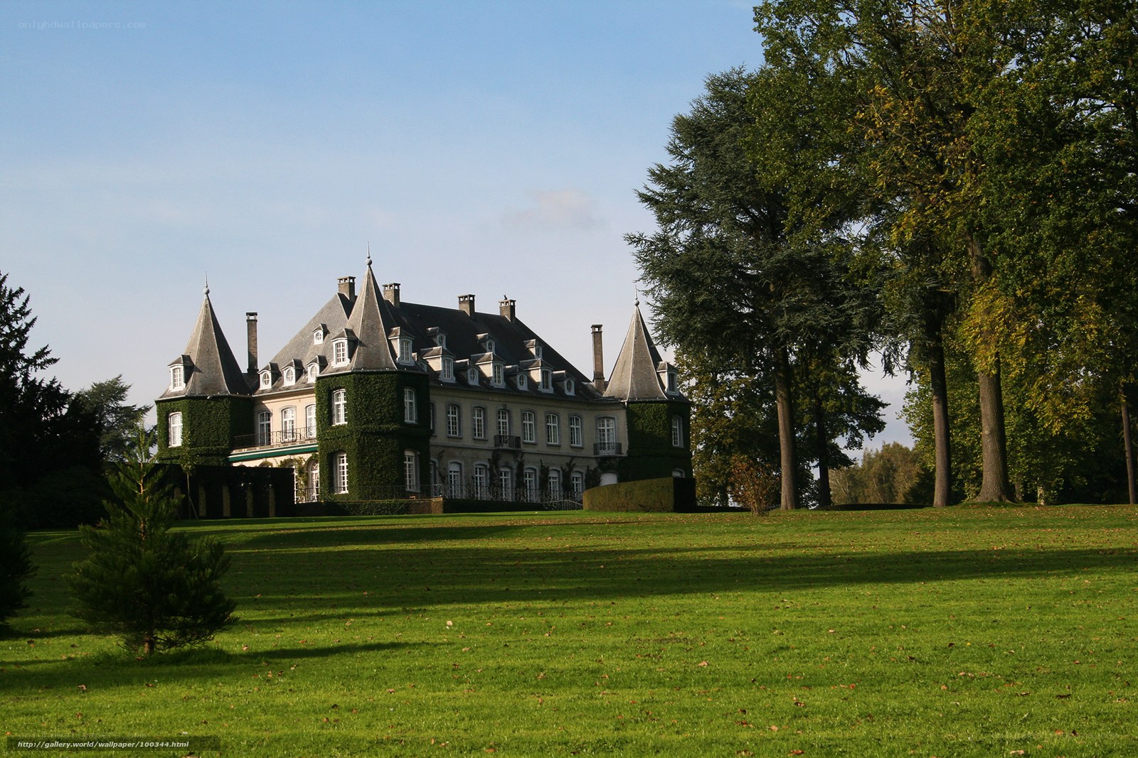 Chateau with ivy-covered walls