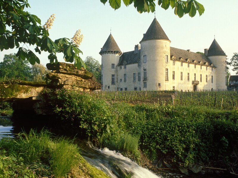 Chateau with Vineyard