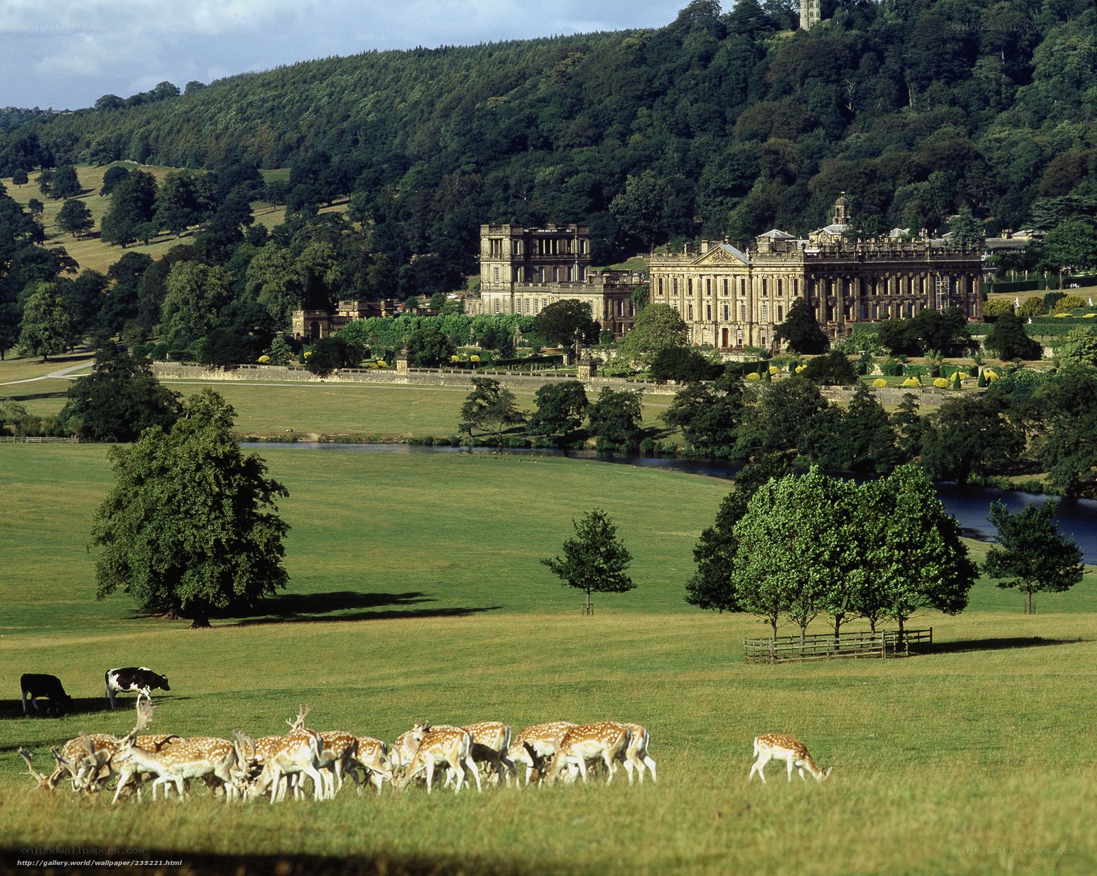 Chatsworth House and deer