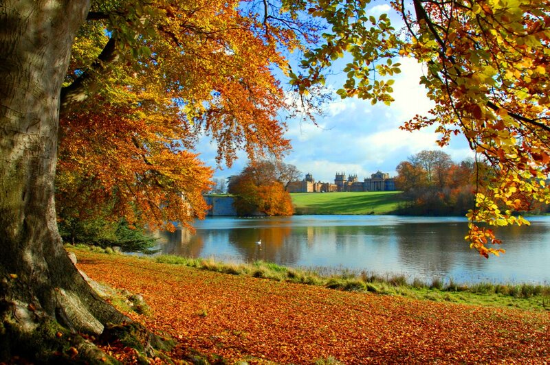 Chatsworth House View
