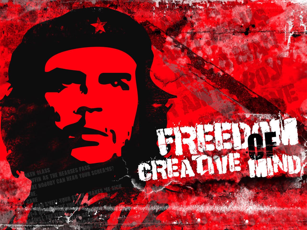 Che Guevara Freedom Art