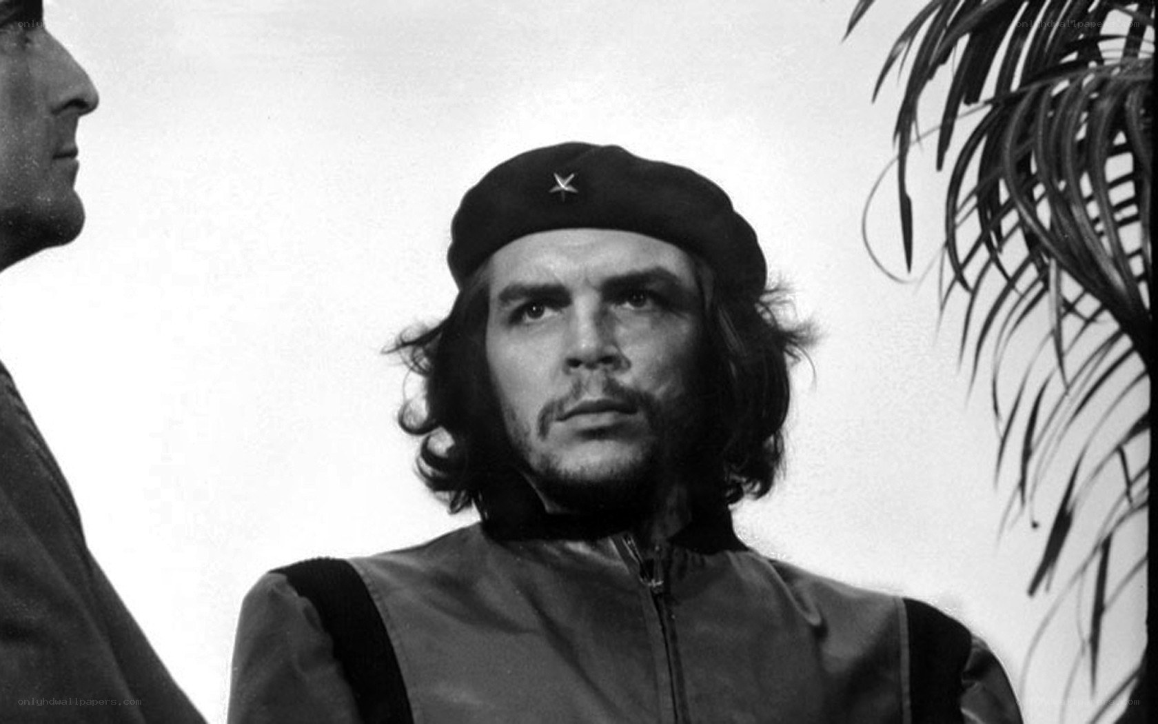 Che Guevara in black and white