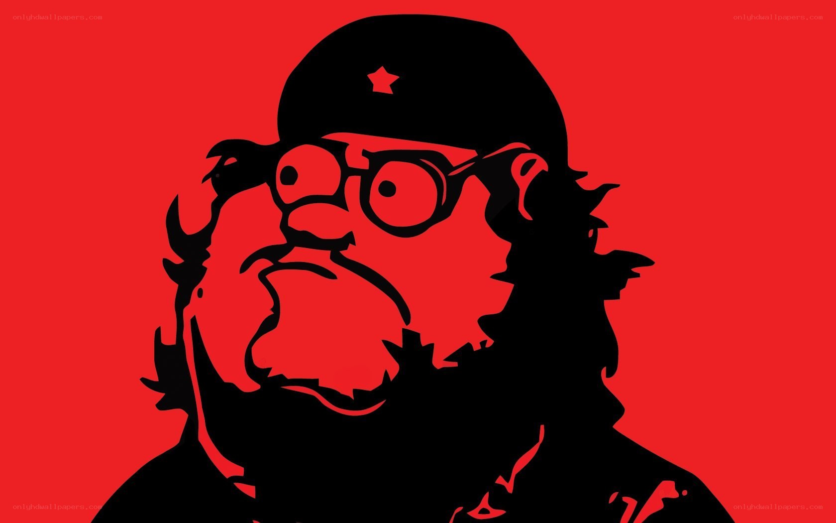 Che Guevara parody portrait