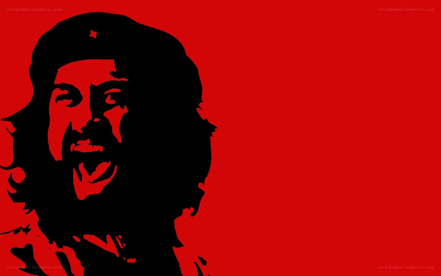Che Guevara portrait
