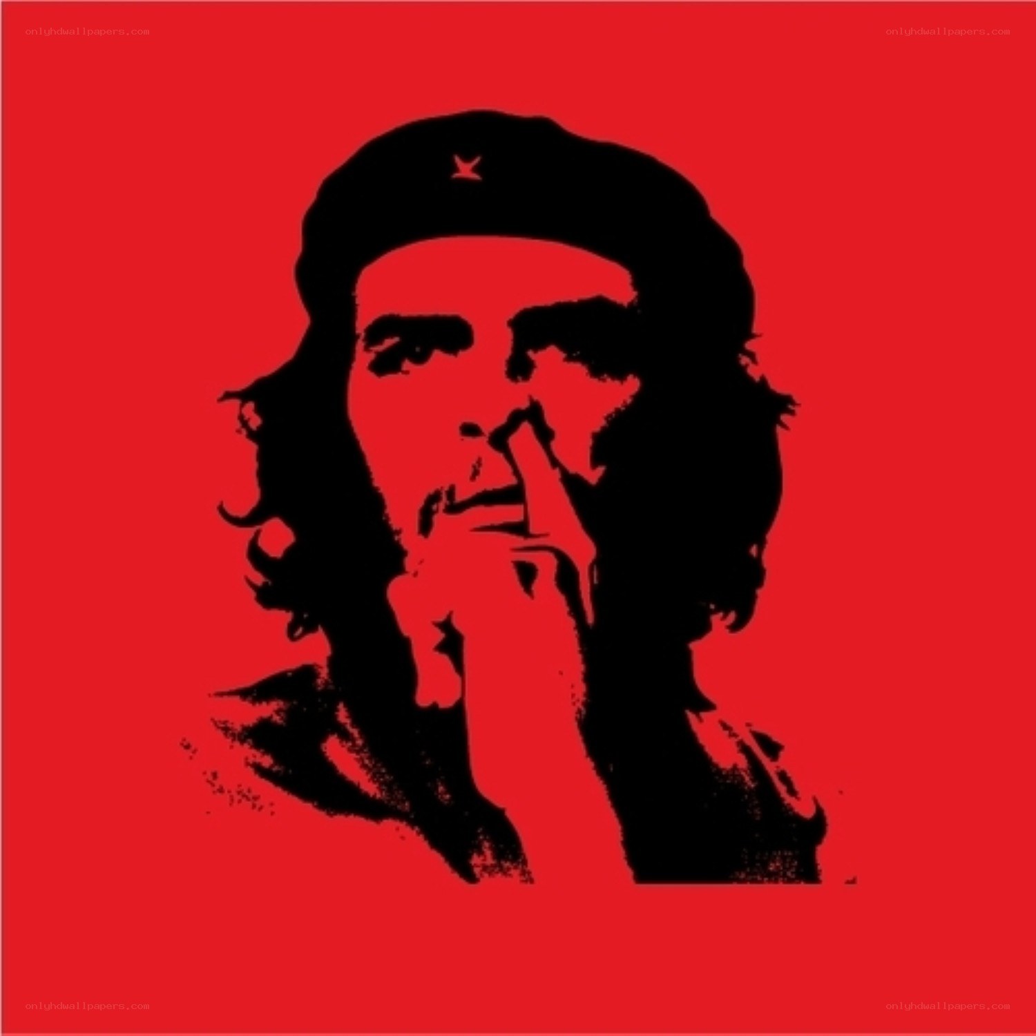 Che Guevara portrait