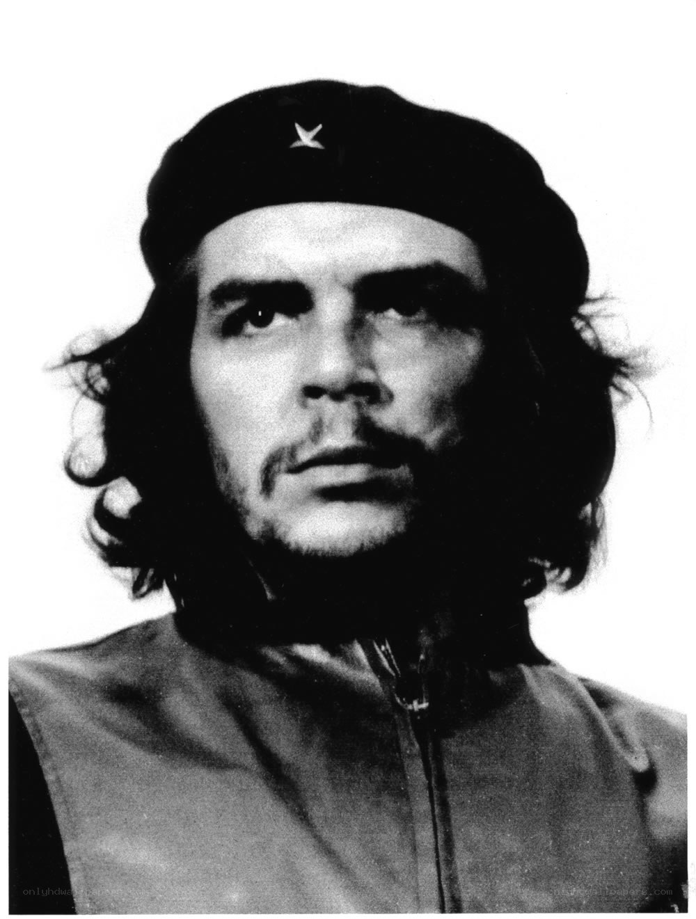 Che Guevara portrait