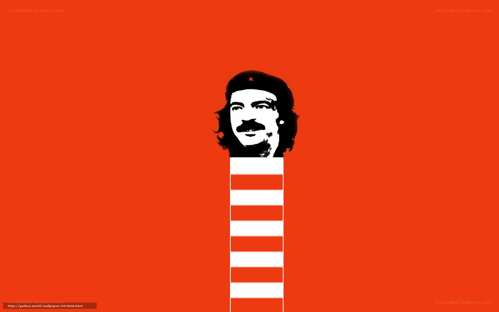 Che Guevara portrait art