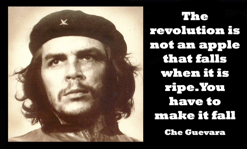 Che Guevara Portrait — Black, Serious, Photograph