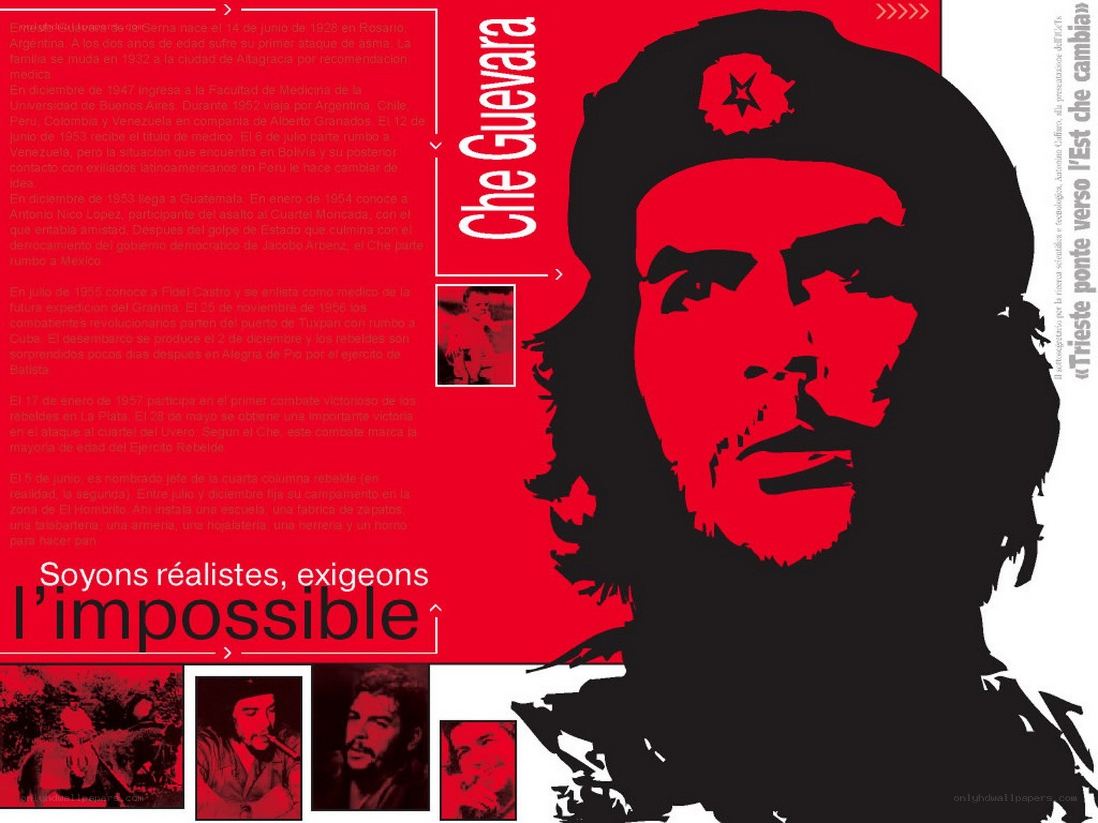 Che Guevara poster with biography