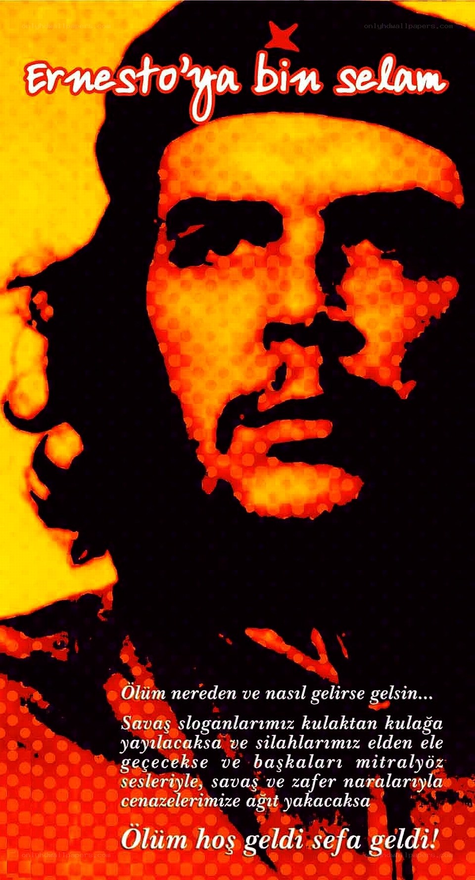 Che Guevara poster with Turkish text