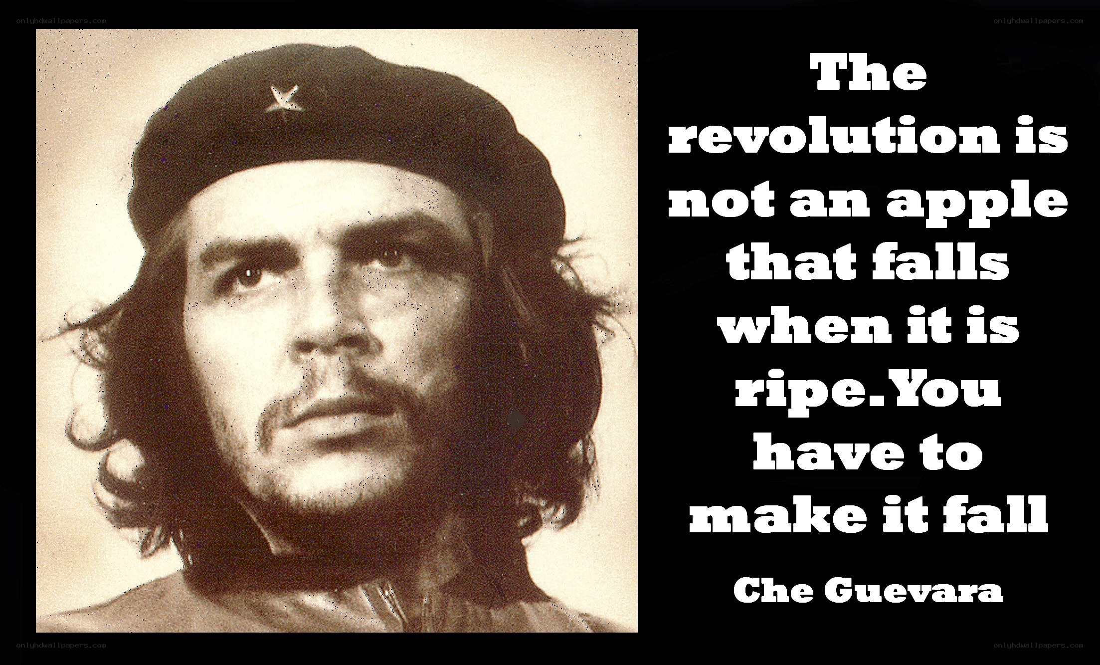 Che Guevara quote image
