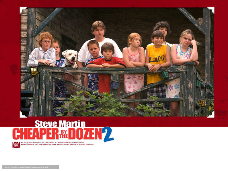 Cheaper by the Dozen 2 cast