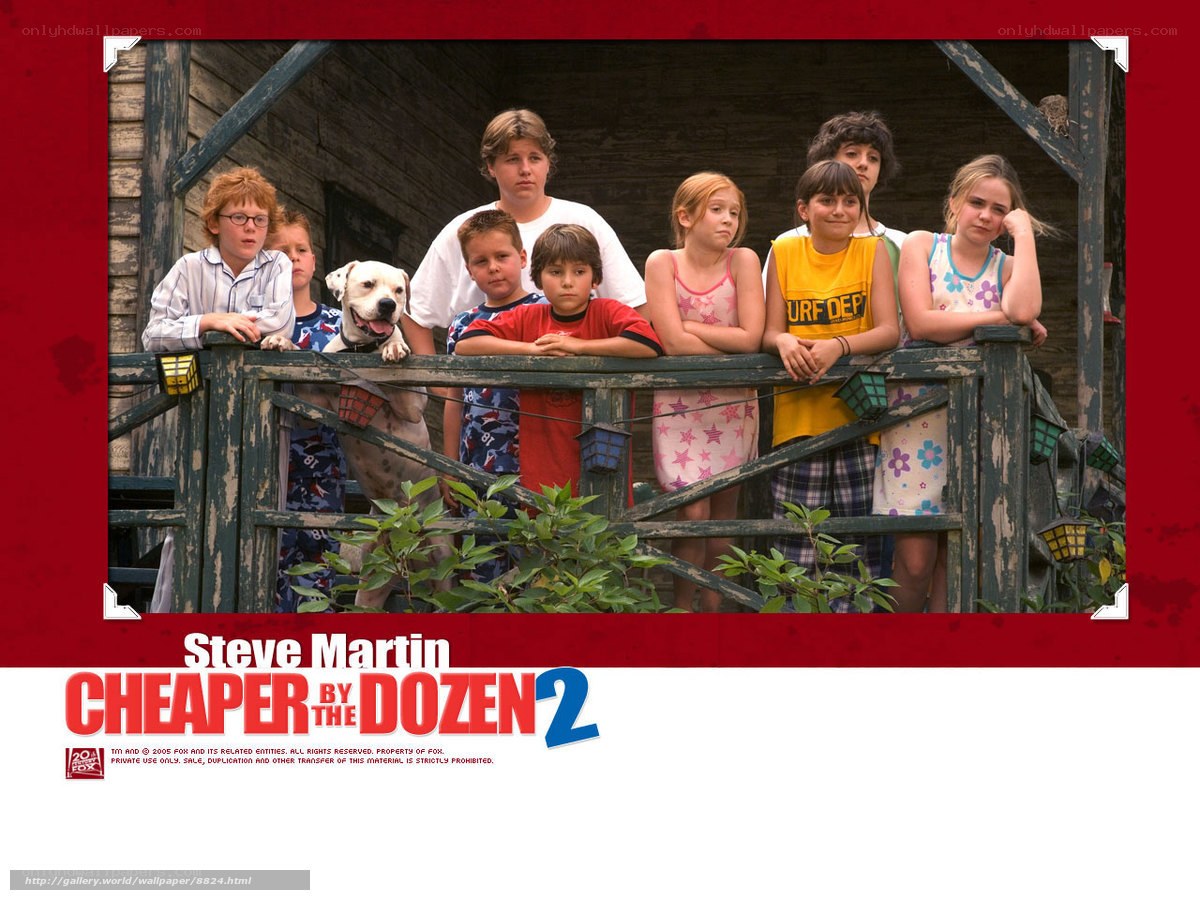 Cheaper by the Dozen 2 cast