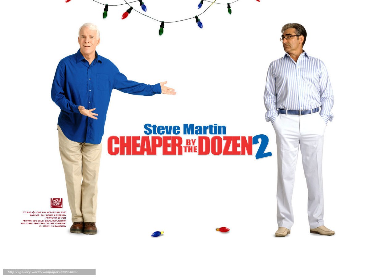 Cheaper by the Dozen 2 movie poster