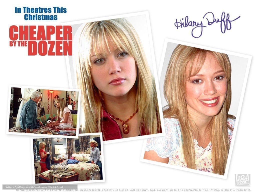 Cheaper by the Dozen movie poster