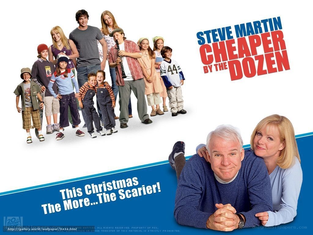 Cheaper by the Dozen movie poster